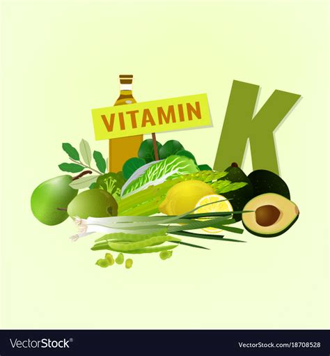 Vitamin K In Food Royalty Free Vector Image Vectorstock