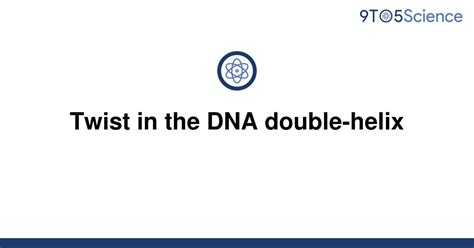 Solved Twist In The Dna Double Helix 9to5science