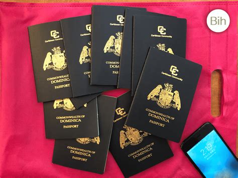 Dominica Passport Application Only Takes Three Months Quick Visa Free 140 Countries Bih Bprol