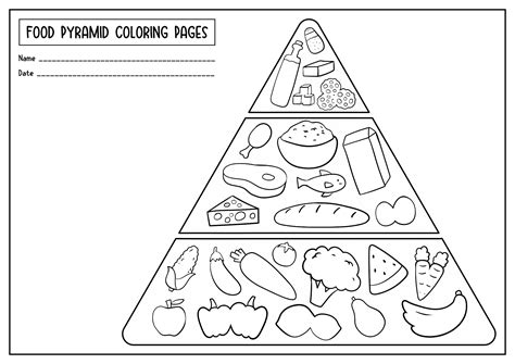 Food Chain Pyramid Coloring Sheet Coloring Pages