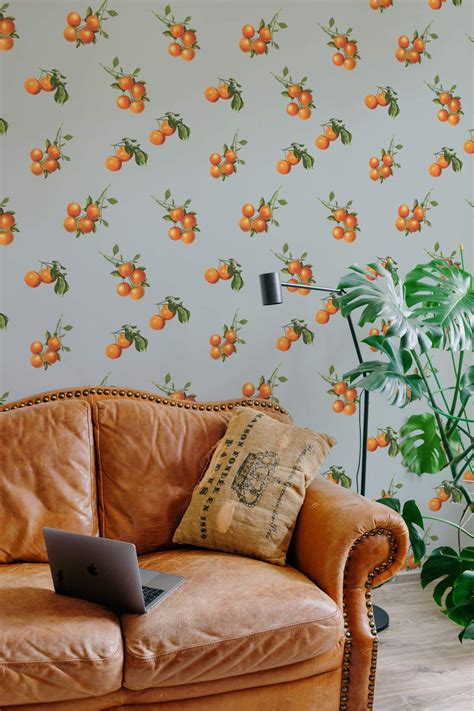 Orange Fruit Wallpaper Peel And Stick Or Non Pasted