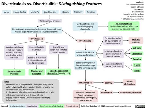 Diverticulosis Vs Diverticulitis Distinguishing Features Calgary Guide