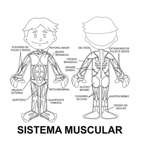 Desenhos De Corpo Humano Para Colorir Pintar E Imprimir