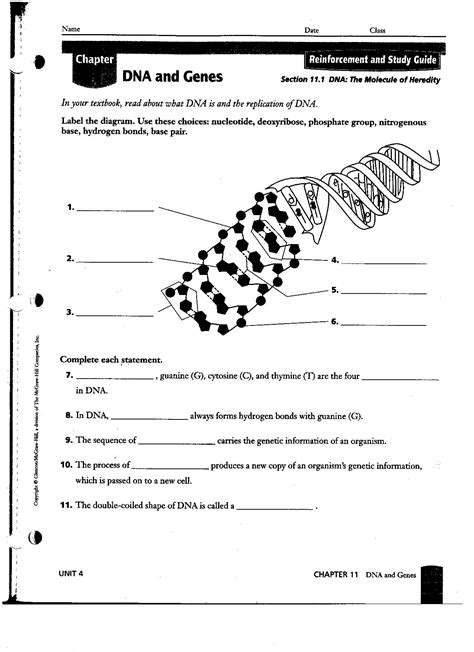 They are made up of the. 14 Best Images of DNA Structure Worksheet High School - DNA Structure and Replication Answer Key ...
