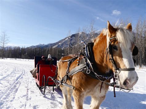 8 Epic Things To Do During Winter In Alberta Canada The Travelista