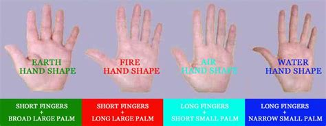 Finger Length What Can Fingers Reveal Palm Reading Basic Palm Reading Hand Shapes