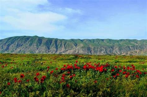 Afghanistan Farmland Asia Heaven Mountains History Natural