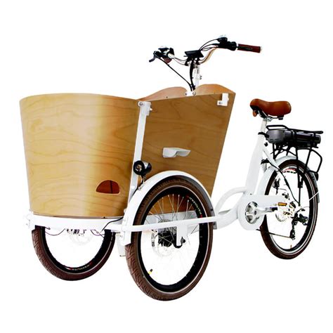 Family Adventures Versatility Of Cargo Bikes For Families