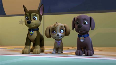 Watch Paw Patrol Season 5 Episode 6 Pups And The Werepuppypups Save