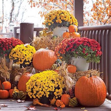Pumpkins And Mums Fall Decorations Porch Fall Outdoor Decor Fall
