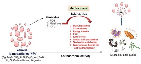 Antimicrobials Technical Platform CD Bioparticles