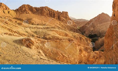 Desert Landscape In North Africa Stock Image Image Of Background