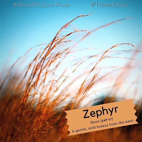 Zephyr Nerdswholovewords Wordoftheday Photo By Caseylee On