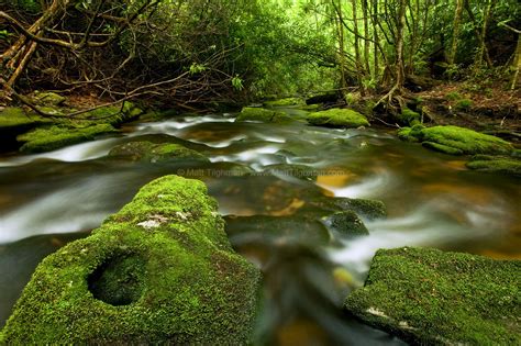 Unstoppable Force - Appalachian Mountain Stream - Matt Tilghman Photography