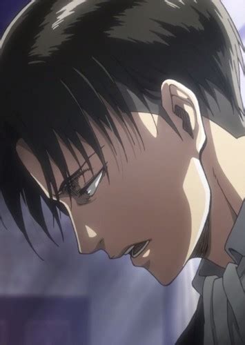 Levi Ackerman Bald Tons Of Awesome Levi Ackerman Wallpapers To Download