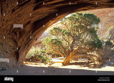 Juniper Cave Hi Res Stock Photography And Images Alamy