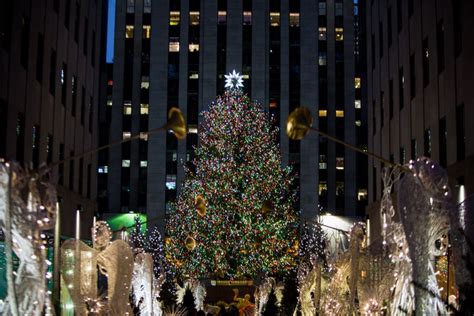 Heres Where The Rockefeller Center Tree Comes From Huffpost Life