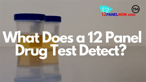 What Is A 12 Panel Drug Test 12 Panel Now