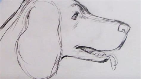 Maybe you would like to learn more about one of these? How to Draw a Dog (Spaniel) - YouTube