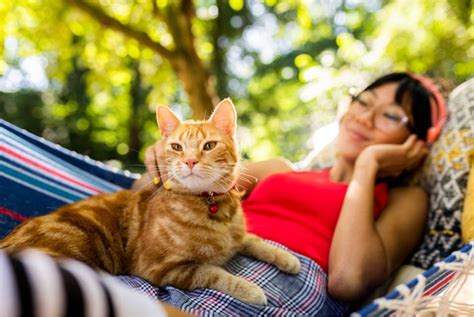 After applying bravecto for cats, the medication quickly reaches tissue fluids under your cat's skin. Bravecto Plus gets new licence to treat ear mites in cats ...