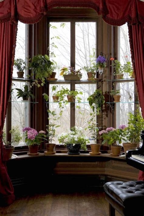 55 Window Design Ideas With Plant That Make Your Home Cozy More Home