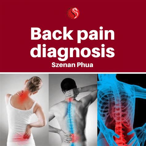 Back Pain Diagnosis Best Acupuncture Hamilton Nz