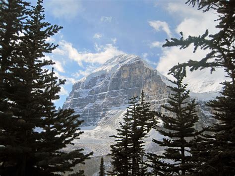 Mount Lefroy Out Of Lake Louise