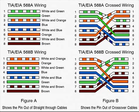 Fold the cable pairs out and pull on the spine while cutting it as straighten the cable pairs well using your fingers and gather them next to each other in the correct order according to one of the below diagrams. Cat 5 Wiring Diagram Pdf / Diagram Rj11 To Rj45 Pinout Diagram Full Version Hd Quality Pinout ...