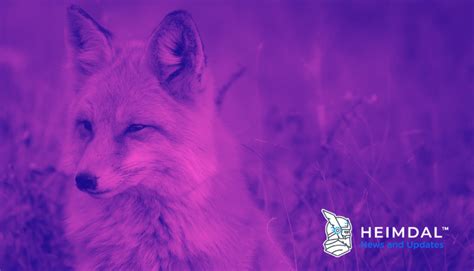 Purple Fox Hackers Are Distributing A New Fatalrat Version