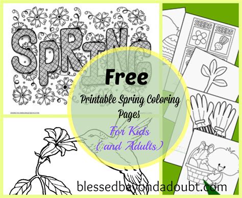 spring coloring sheets spring coloring pages  coloring pages spring coloring sheets