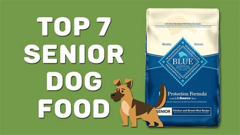 Best Dry Dog Foods For Senior Dogs