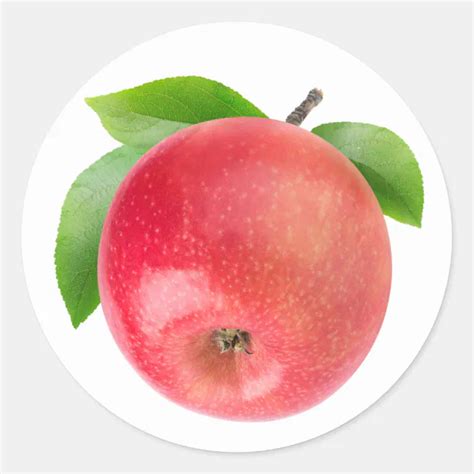 Red Apple Classic Round Sticker Zazzle