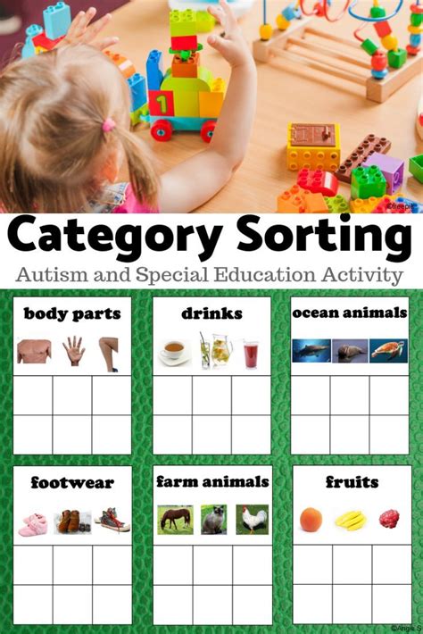 Love This Category Sorting Boards For Speech Therapy Special Education