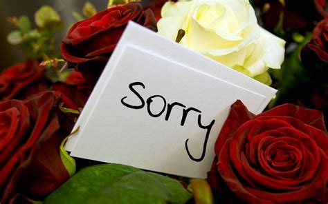 Sorry Written From Pen Wallpaper Download Mobcup