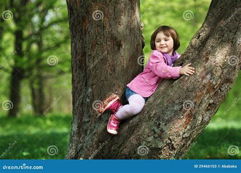 Little Girl Climbing Tree In The Park Stock Image Image Of Person