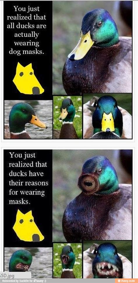 Realized That All Ducks Are Actually Wearing Dog Masks Realized That