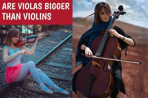 Are Violas Bigger Than Violins 6 Differences You Should Know Violin