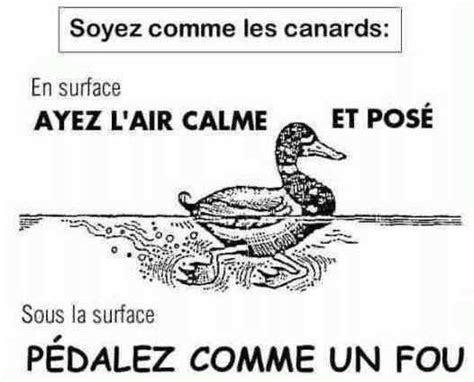 Be Like A Duck On The Surface Act Calm And Poised Under The Surface