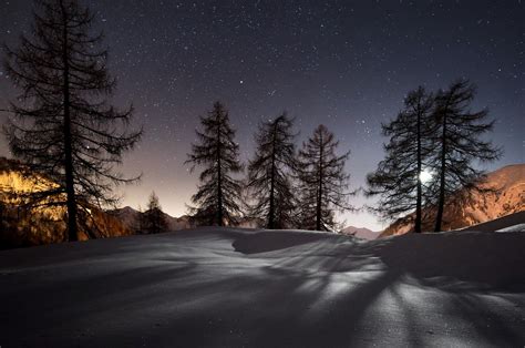 Free Download Wallpaper 3840x2160 Winter Trees Snow Night Landscape 4k