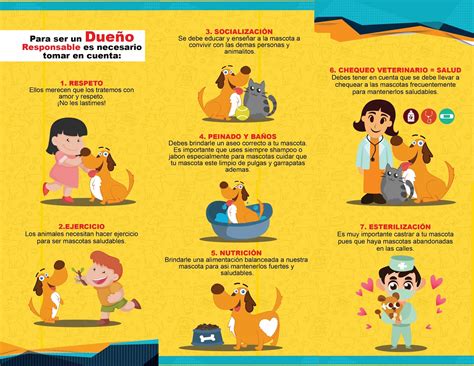 Arani En El Salvador Tenencia Responsable De Mascotas