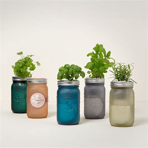 Or… if you'd rather start off with herbs right away, you can plant actual plants. Mason Jar Indoor Herb Garden | Grow Your Own Herbs ...