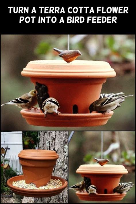 Turn A Terra Cotta Flower Pot Into A Bird Feeder Diy Projects For