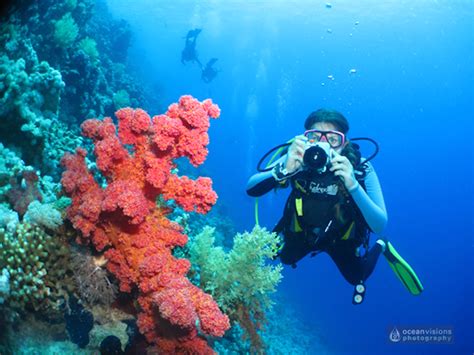 10 Starter Tips To Get The Best Underwater Photos