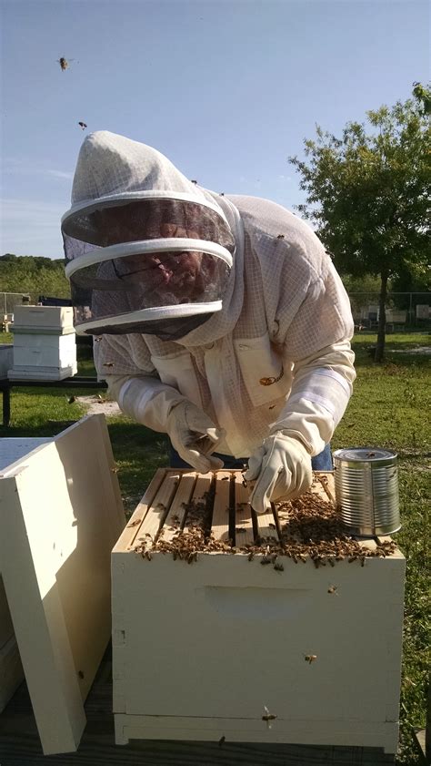 Pba Apiary Training Pinellas Beekeepers Association