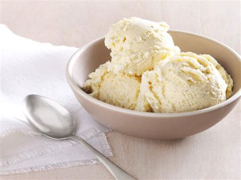 Vitamix Vanilla Ice Cream Recipe