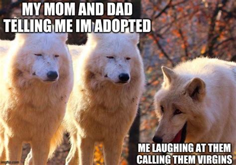 You Adopted Kid Imgflip