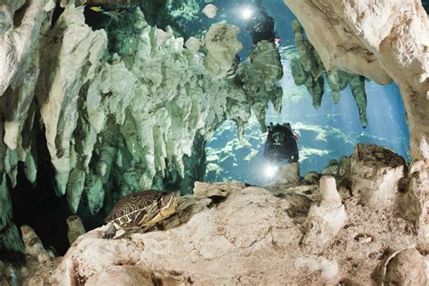 The Worlds Largest Underwater Cave Has Been Discovered And May Hold