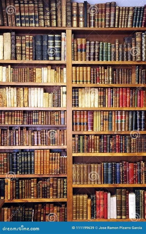 Bookshelves Inside A Bookstore Antique Books Library Editorial Stock