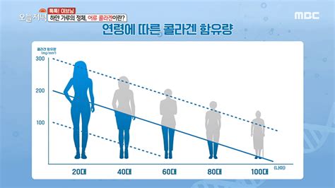 노화를 늦추는 방법하얀 가루의 정체 어류 콜라겐