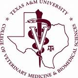 Texas A And M Veterinary School Pictures